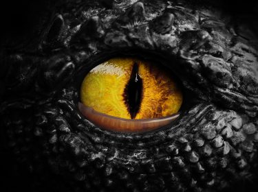Nahaufnahme eines Drachenauges mit gelber Iris und schwarzer, vertikaler Pupille. Die dunkle, schuppige Haut betont den bedrohlichen Ausdruck. Das Bild erinnert an die Drachenwelt aus der Fourth Wing-Reihenfolge.