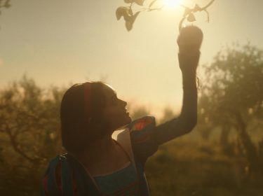 Auf dem Bild aus Schneewittchen (2025) ist Rachel Zegler als Schneewittchen in einem märchenhaften Obstgarten zu sehen. In sanftem, goldenen Licht greift sie nach einem Apfel, während die Szenerie eine verträumte, fast magische Atmosphäre ausstrahlt. Ihr blau-rotes Kleid erinnert an das klassische Design der 1937-Version, jedoch mit realistischeren Details. Im Vergleich zum handgezeichneten Originalfilm wirkt die Neuverfilmung cineastischer und natürlicher, was den Kontrast zwischen den beiden Schneewittchen-Adaptionen betont.