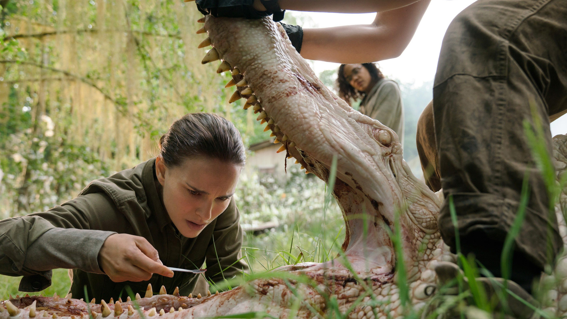 Das Bild zu den GigaTV-Highlights im Mai zeigt eine Szene aus dem Sci-Fi-Film „Annihilation – Auslöschung“. Im Vordergrund untersucht die von Natalie Portman gespielte Biologin konzentriert das geöffnete Maul eines albinoartigen Krokodils. Zwei weitere Frauen assistieren im Hintergrund, während sie sich in einer dschungelartigen Umgebung befinden. Die Stimmung ist angespannt und wissenschaftlich fokussiert.