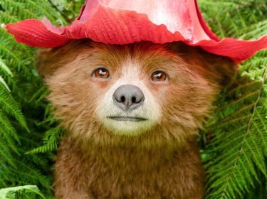 Auf dem Bild zu den GigaTV-Highlights im Mai ist Paddington aus dem Film „Paddington in Peru“ zu sehen. Der kleine Bär blickt mit offenem, neugierigem Gesichtsausdruck direkt in die Kamera, umgeben von leuchtend grünen Farnblättern. Auf seinem Kopf trägt er einen roten, blütenförmigen Hut, der die Szene märchenhaft wirken lässt.