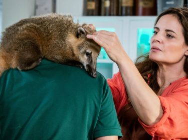 Produktionsstandbild von Dr. Susanne Mertens und einem Nasenbär