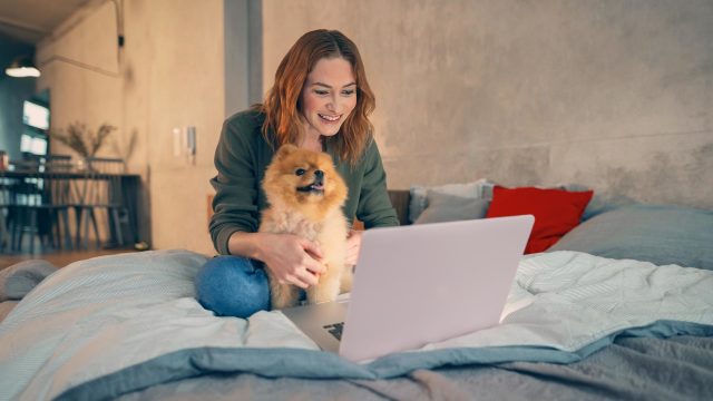 AVM FRITZ!Box Glasfaser einrichten: Frau sitzt mit ihrem Hund vor einem Laptop.