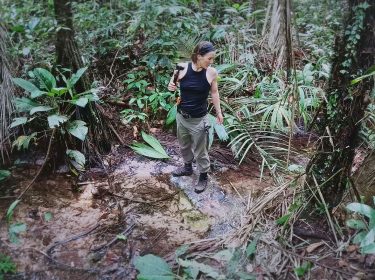 Eine Kandidatin ist in Staffel 5 von 