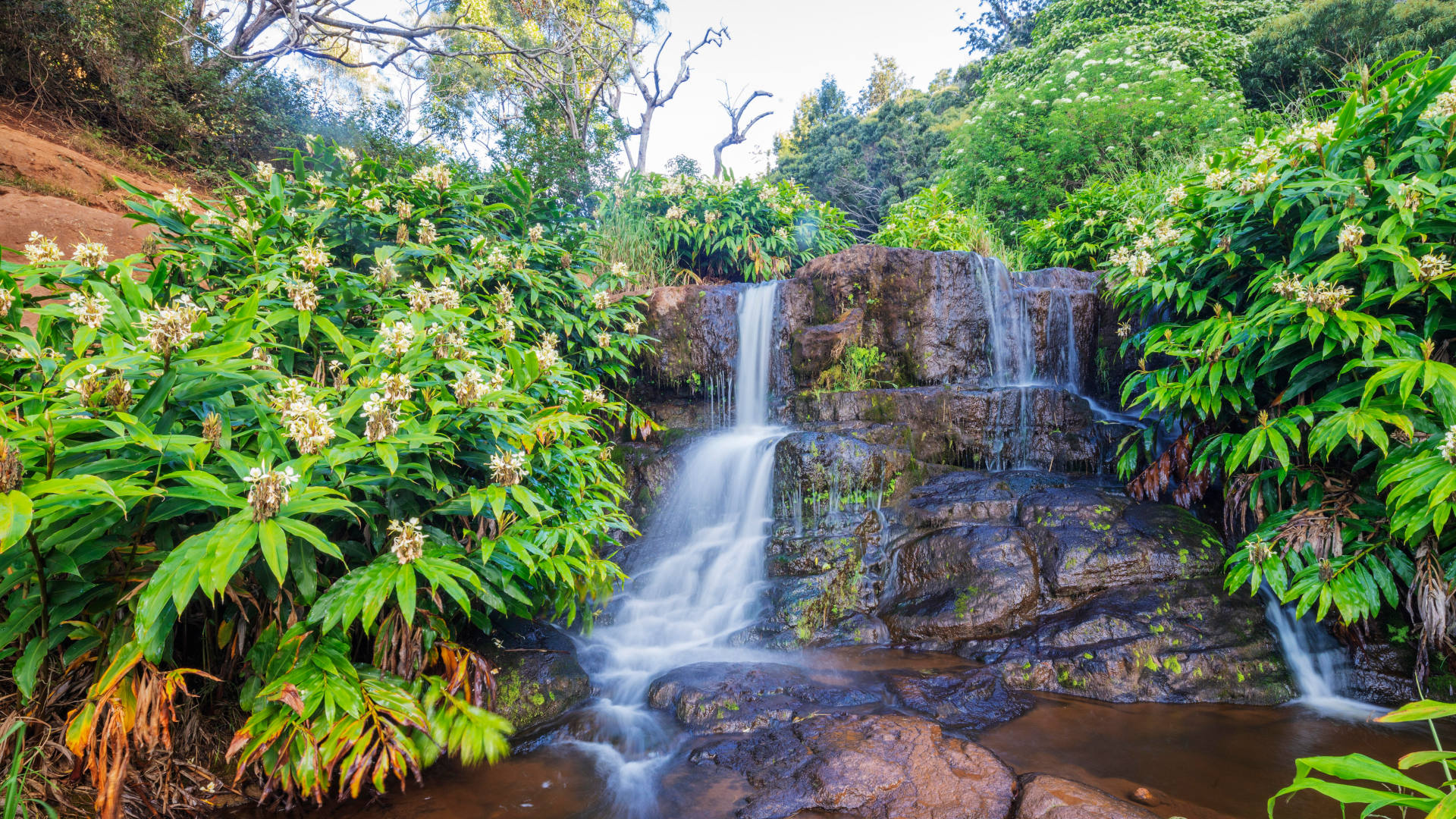 Wasserfall, Waimea Canyon State Park, Kauai Island, Hawaii,