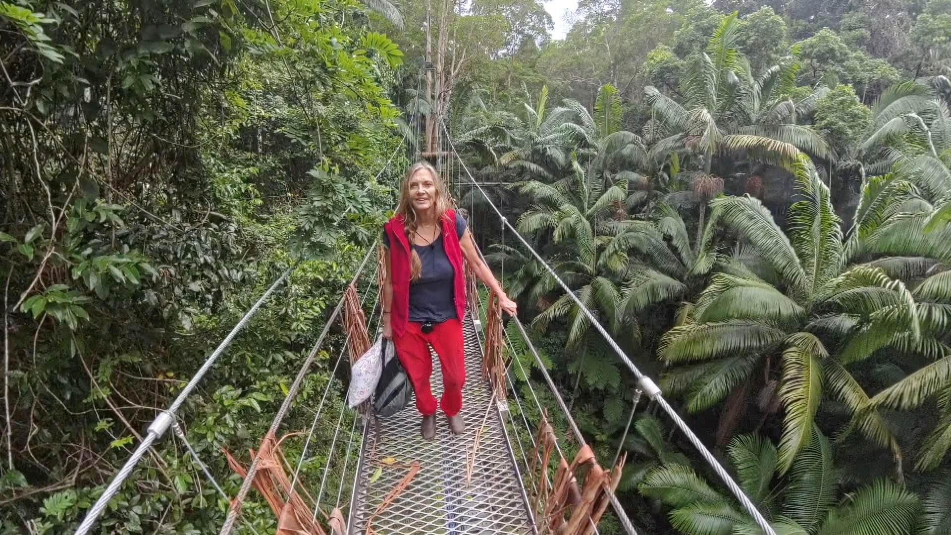 Auf dem Bild zum Dschungelcamp 2026 ist Nicole an Tag 9 beim Verlassen des Camps zu sehen. Sie läuft über eine schmale Hängebrücke mitten durch den dichten australischen Dschungel. Nicole trägt das rote Dschungelcamp-Outfit und blickt ruhig, aber nachdenklich. Die Stimmung wirkt emotional, abschiedlich und zugleich erleichtert.