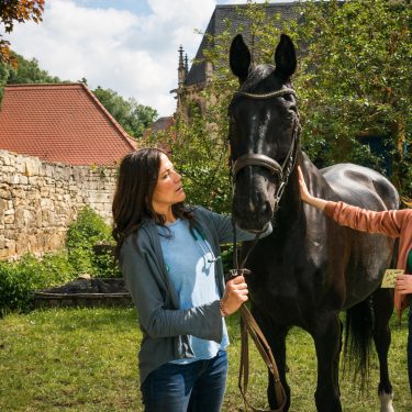 Dr. med. Vet. Maja Freydank (Bettina Zimmermann) und Dr. med. Vet. Julia Kramer (Meriel Hinsching) kümmern sich um das verletzte Pferd.