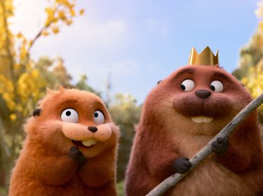 Zwei Biber in Nahaufnahme, einer trägt eine Krone und hält einen Zweig in der Hand.