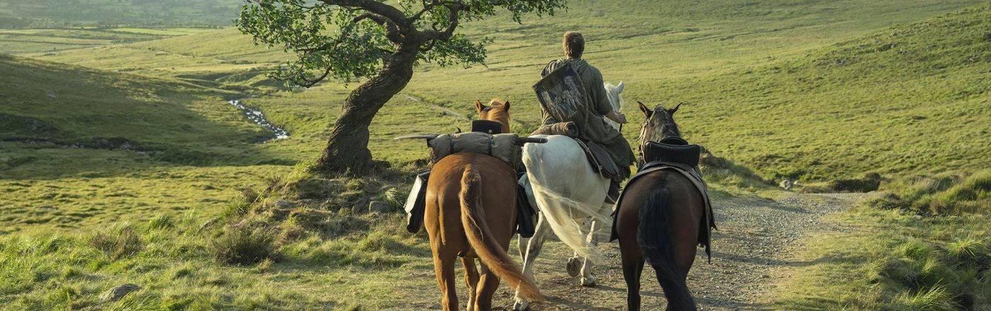 Auf dem Bild in dem Artikel zu 