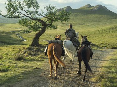 Auf dem Bild in dem Artikel zu 
