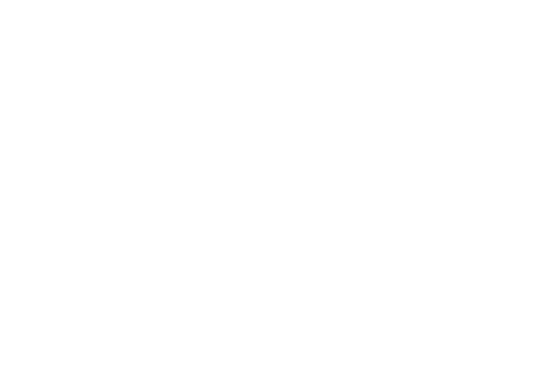 heineken1