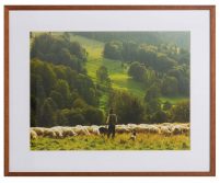 Herder-