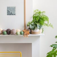 Niels' Summer Choice - Urban Green