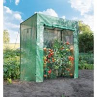 Tomato serre tuinkas-Moestuin