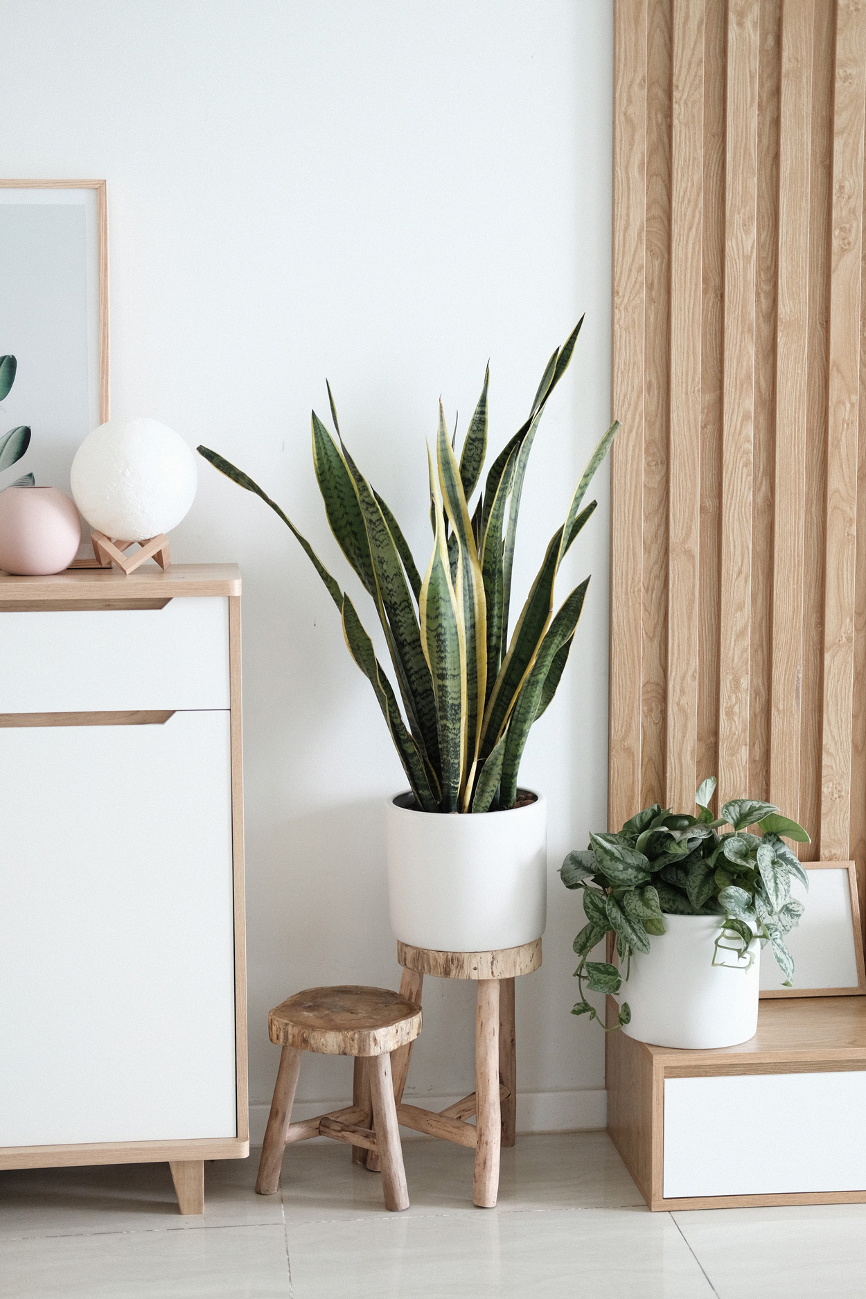 Mooi en puur: onbewerkt hout met een groene touche van kamerplanten.