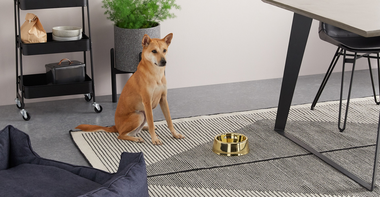 Met een voederbak van messing of in koperkleur eet jouw hond in stijl.
