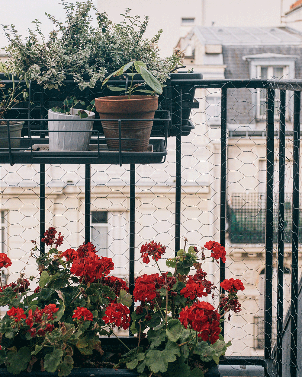 Met het lekkere weer van de lente wil je natuurlijk lekker vertoeven op jouw balkonnetje, maak hem daarom zomerklaar met onze tips.