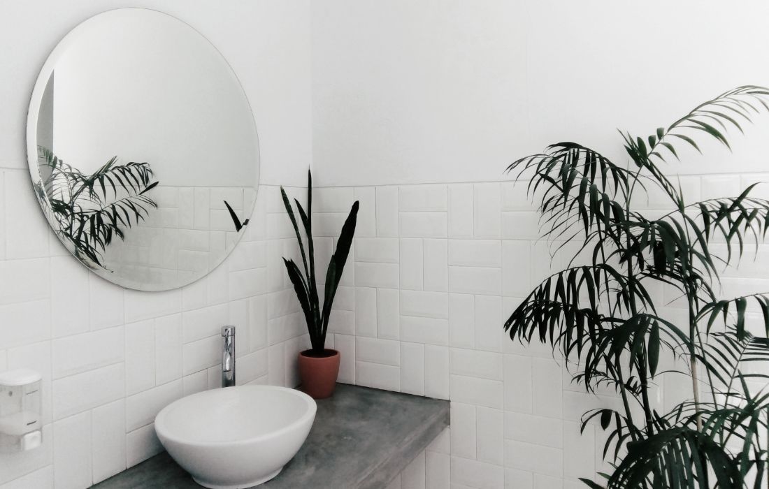 In een luxe badkamer mag een plant niet ontbreken. Kies een plant die kan leven met weinig licht en veel vocht.