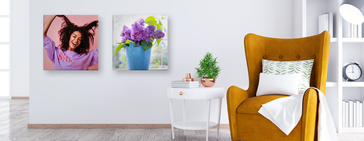 קנבסים 50% יוני 1.6