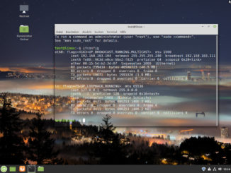 Linux VMWare-Tools installieren