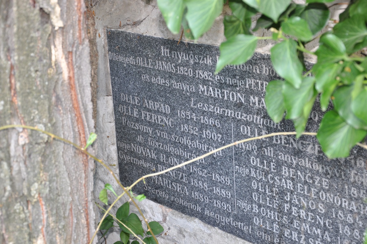 Az ollétejedi Ollé család kriptája