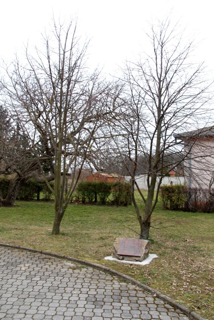 A barátság fái emléktábla