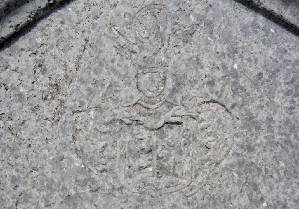 tild-dillesz-istvan-sirja (6)