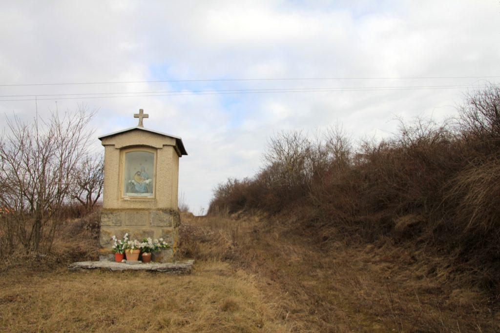 inam-keposzlop-a-szoloskertnel-2