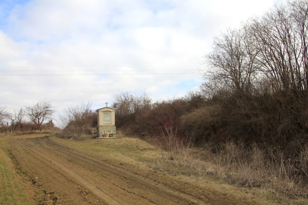 inam-keposzlop-a-szoloskertnel-8
