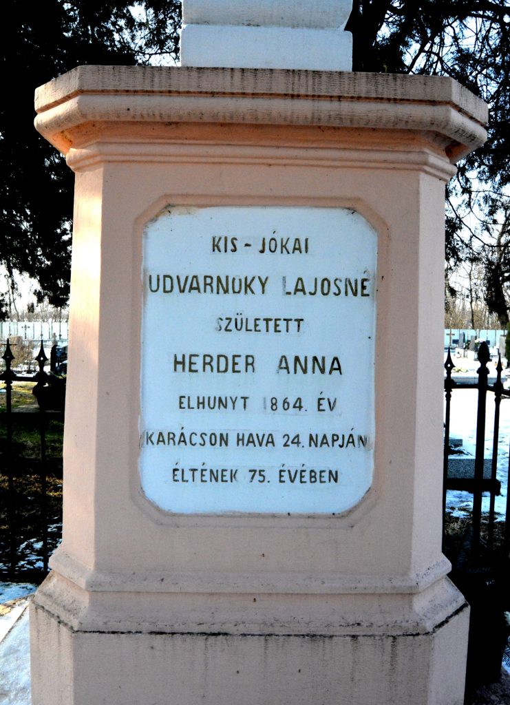 gomba-udvarnoky-anna-sirja (11)