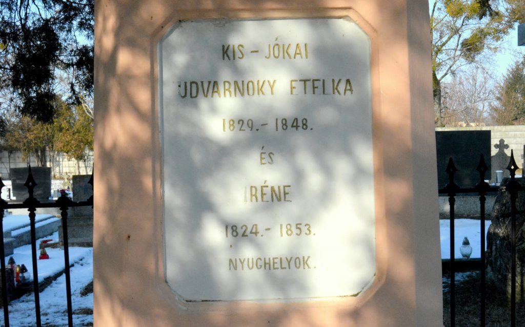 gomba-udvarnoky-anna-sirja (13)