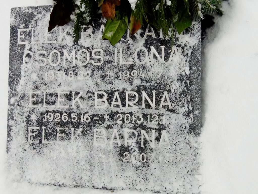 nagybalog-elek-barna (1)