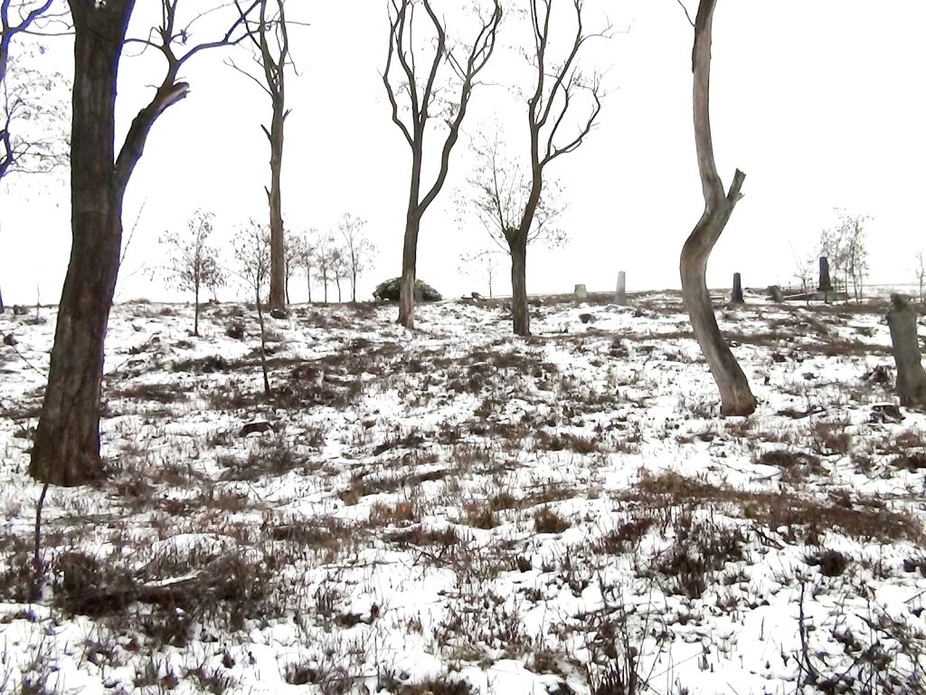 balogivanyi-regi-temeto (3)