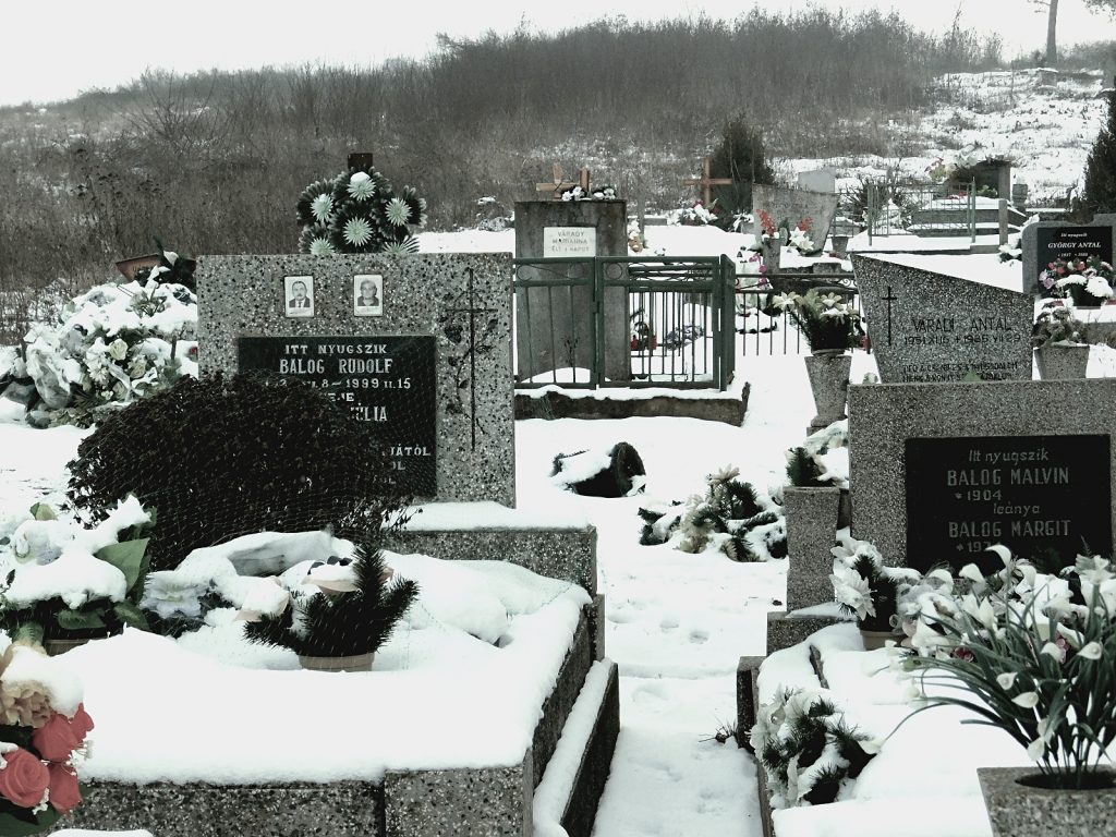 nemesradnot-Balog-Rudolf (6)