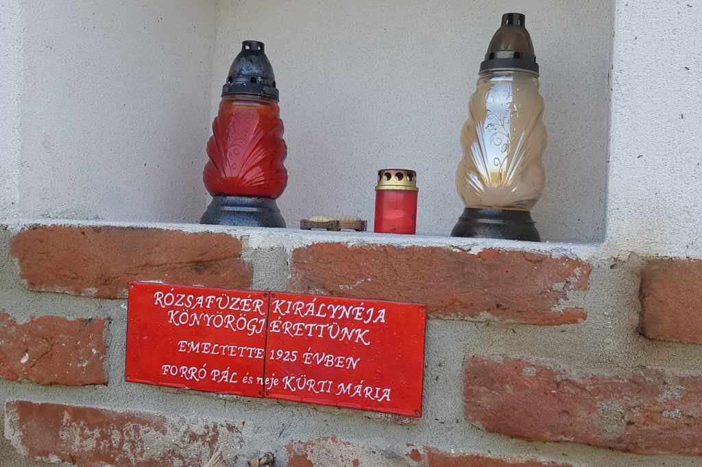 guta-keposzlop-tuzokos (7)