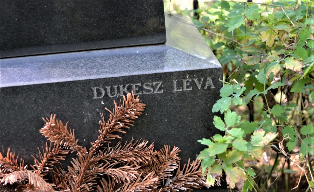 hontvarsany-juhasz-lelkeszek-sirja (14)