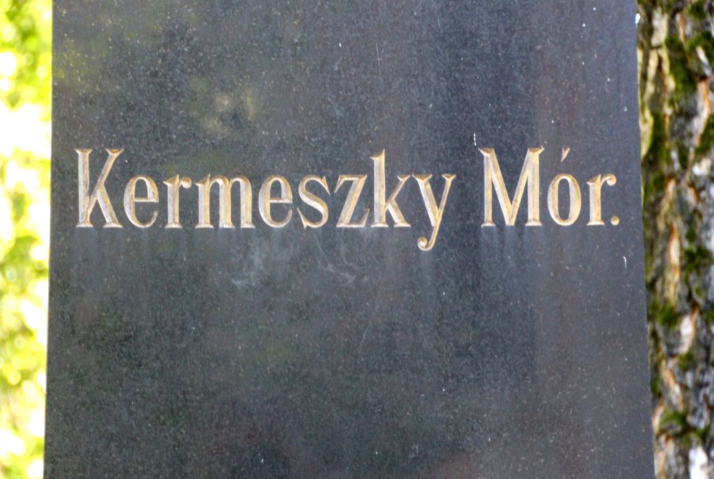 locse-kermeszky-mor-sirja (5)