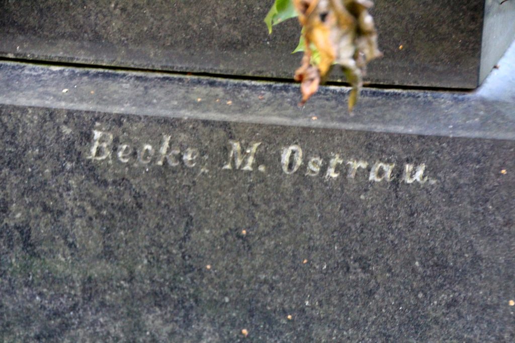 locse-kermeszky-mor-sirja (6)