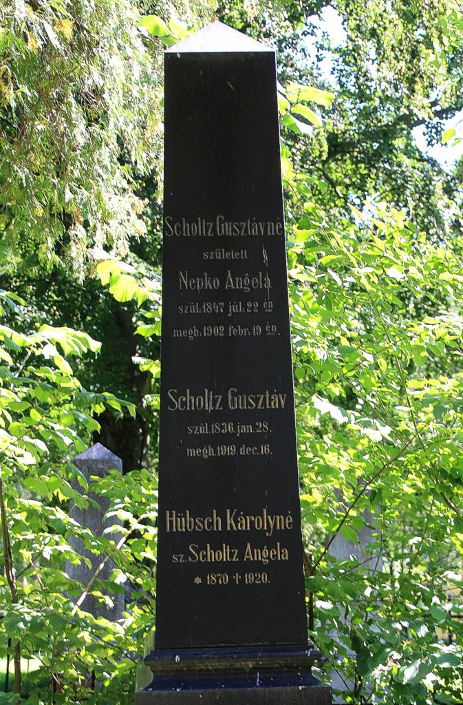 locsei-merenyi-scholtz-gusztav-sirja (4)