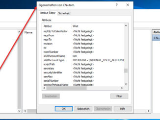 Im ADSI Editor Detaillierte Informationen Zu Den Einzelnen Objekten Auslesen