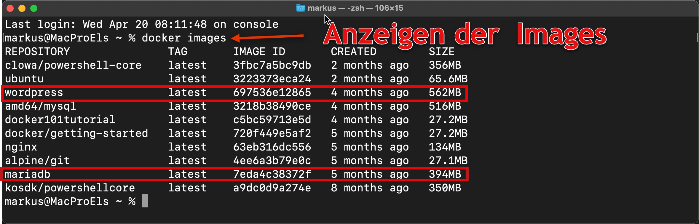 Wie kann man WordPress Docker installieren? 13 WordPress Docker Images auflisten
