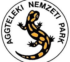Nyári lovastábor az Aggteleki Nemzeti Parkban