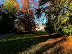 Őszi séta a betléri kastély parkjában Őszi séta a betléri kastély parkjában