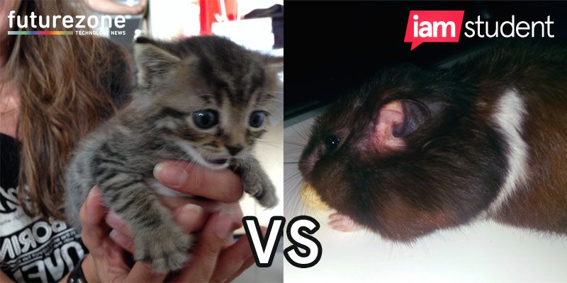 futurezone vs iamstudent