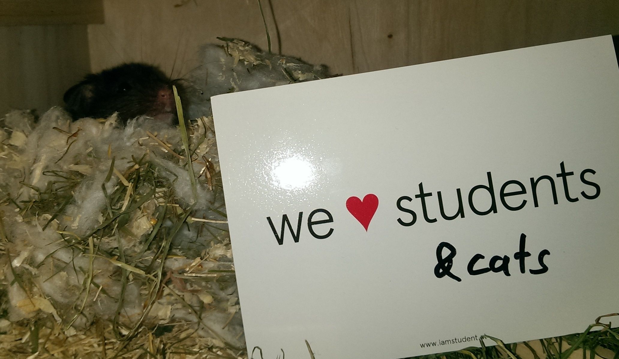 banner 2