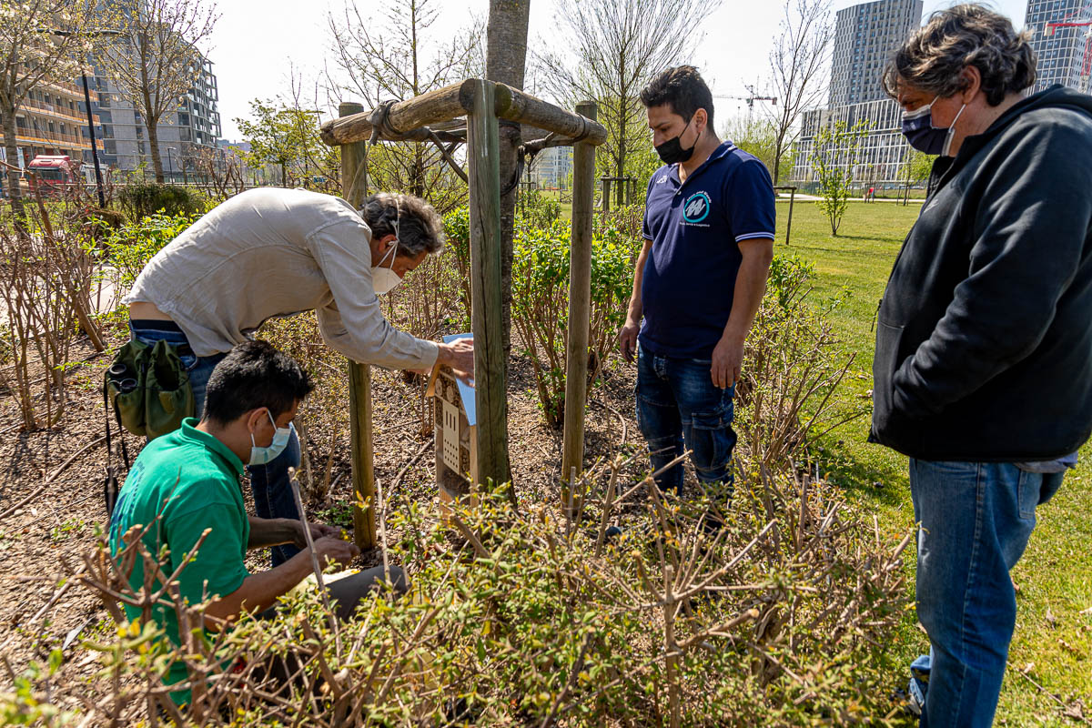 Nature-based Solutions