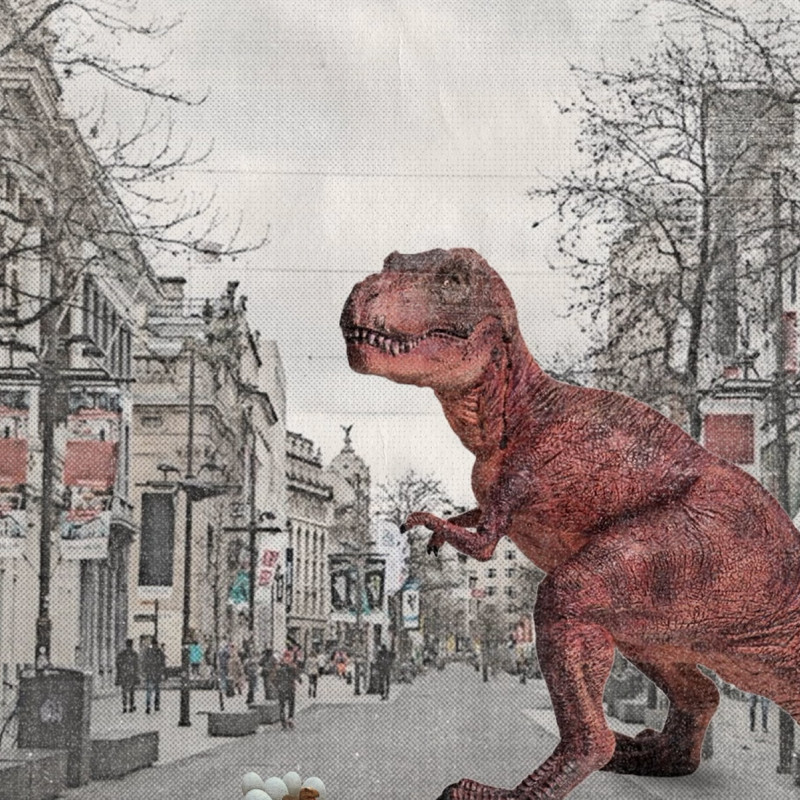 Award Winning Designers - T-Rex Award Winning Designers - T-Rex