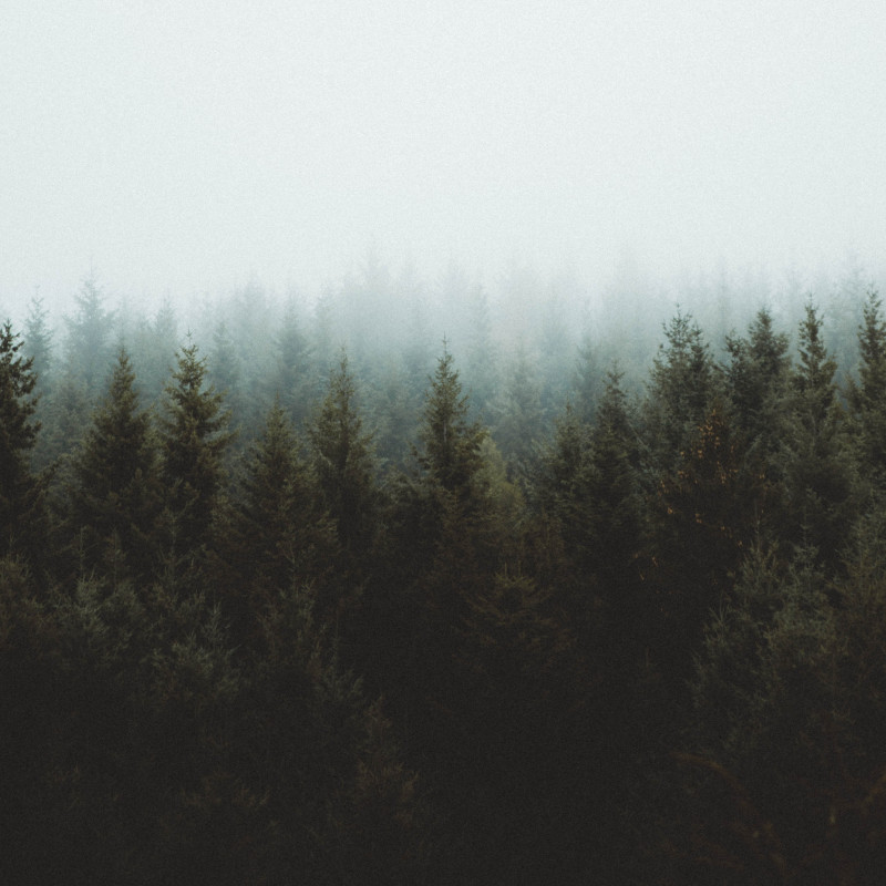 Clement M - Unsplash Clement M - Unsplash
