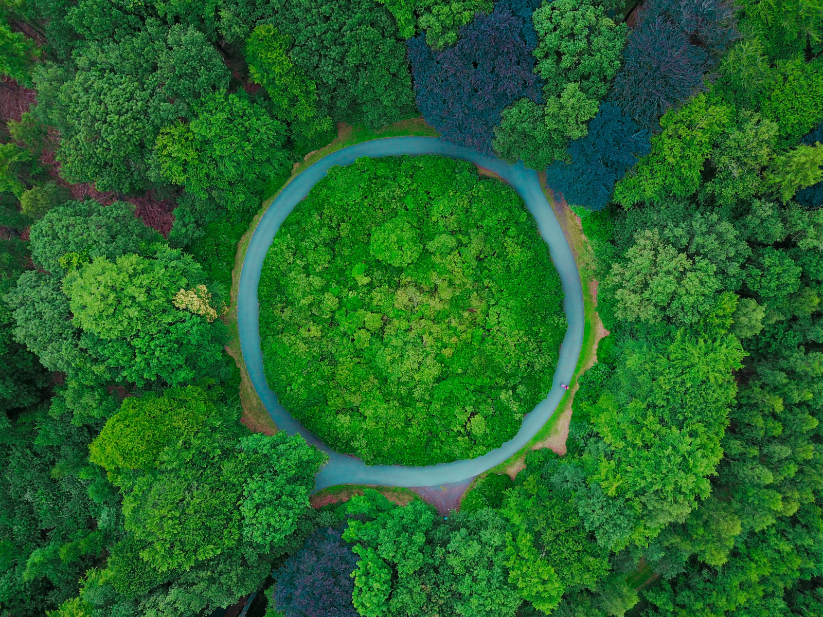 Thomas Lambert - Unsplash Thomas Lambert