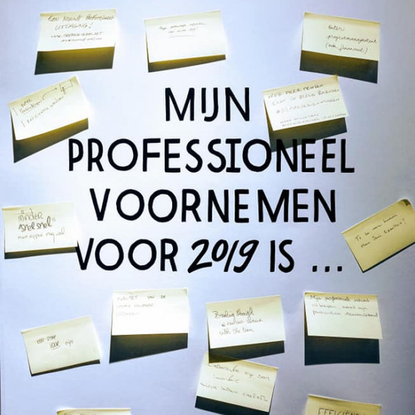 professioneel voornemen professioneel voornemen