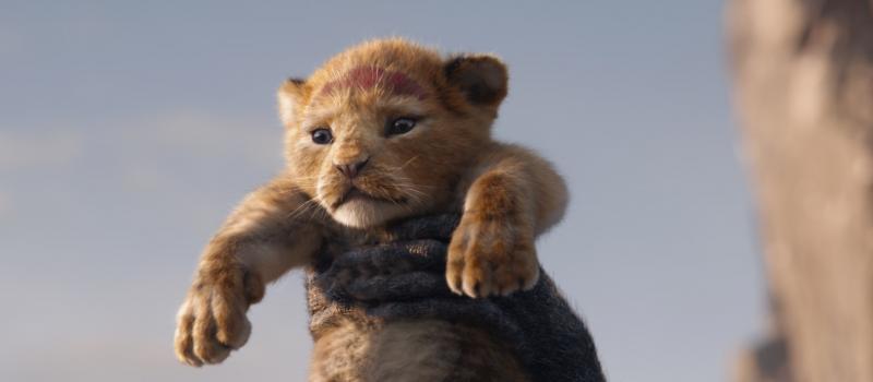 (c) Walt Disney Pictures The Lion King